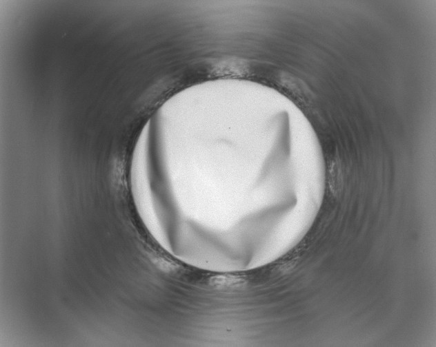 X0000074260714200609222151