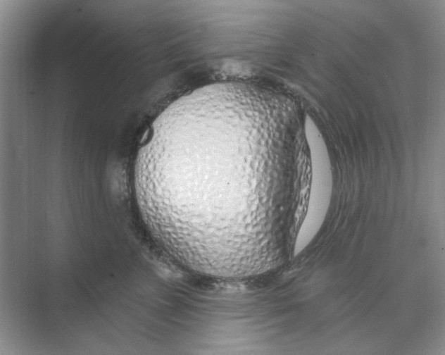 X0000074260715200609222151