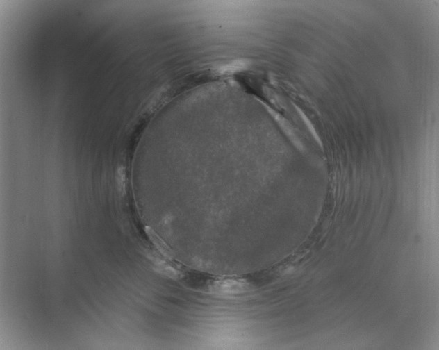 X0000074260716200609222151