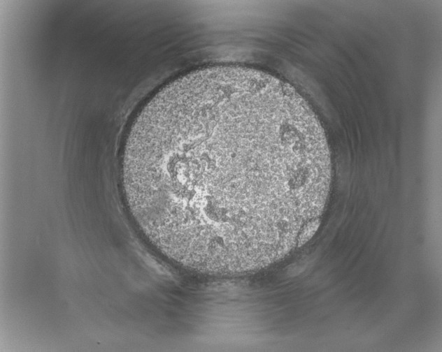 X0000074260721200609222150