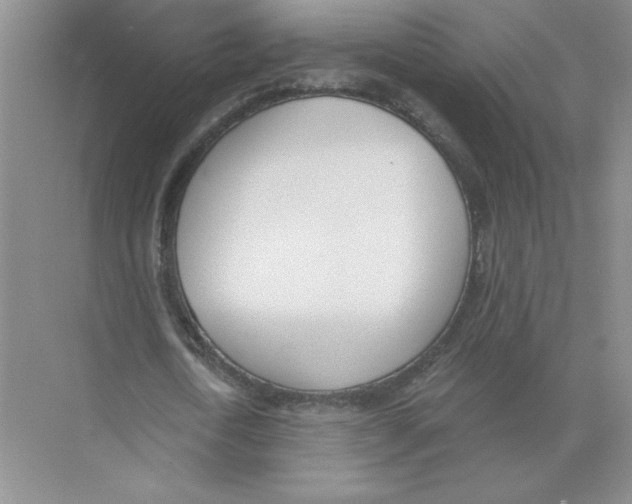 X0000074260722200609222150