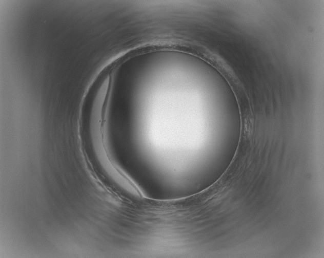 X0000074260724200609222150