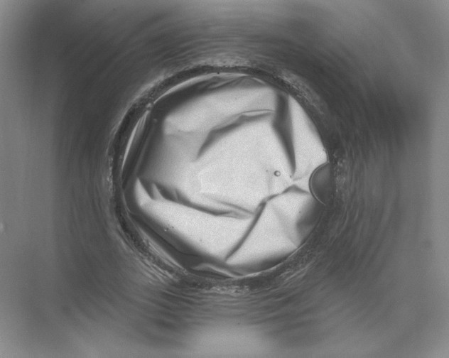 X0000074260727200609222150