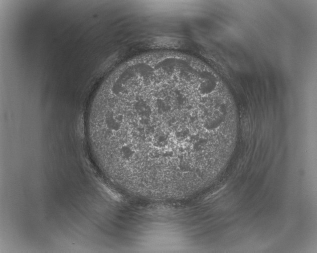 X0000074260729200609222150