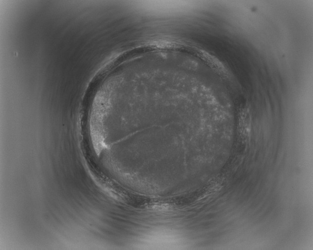 X0000074260730200609222150