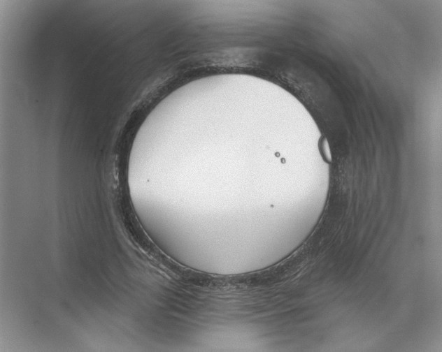 X0000074260731200609222150