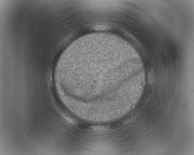 X0000074260733200609222150