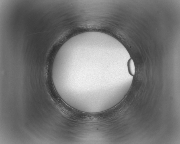 X0000074260735200609222150