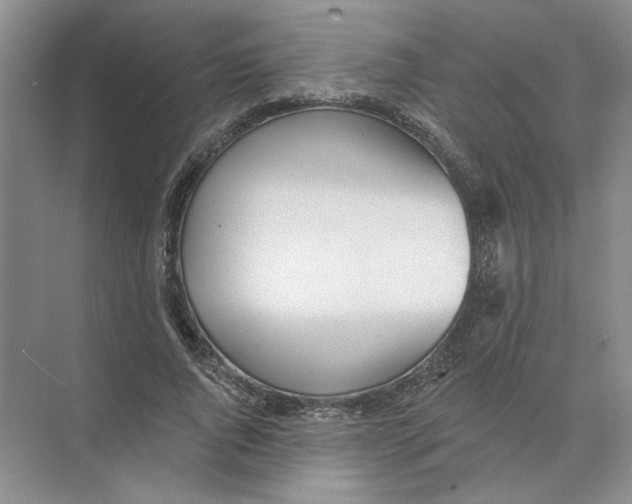 X0000074260736200609222150