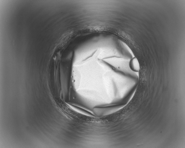 X0000074260738200609222150