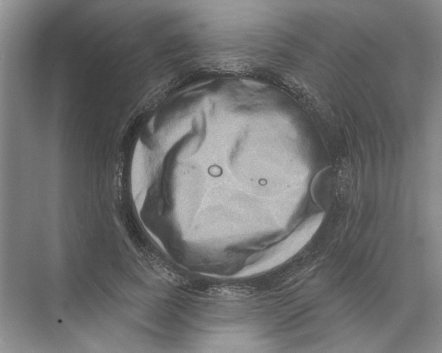 X0000074260739200609222150