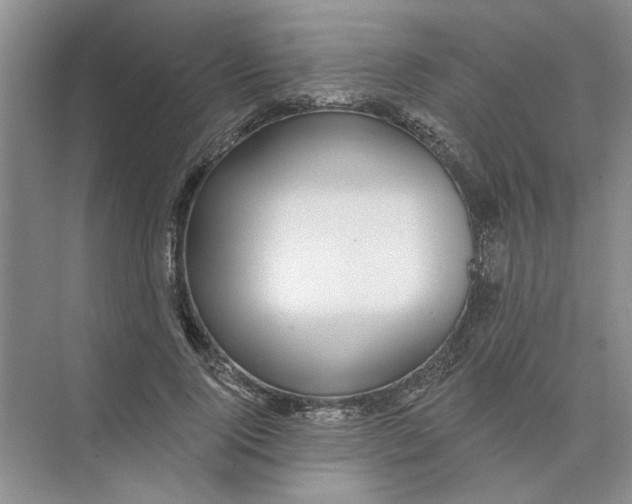 X0000074260740200609222150