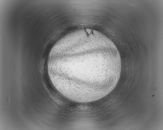 X0000074260742200609222150