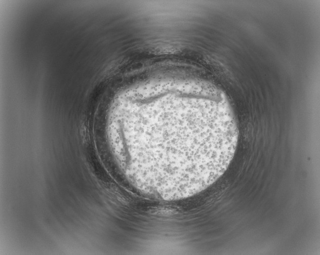 X0000074260743200609222150