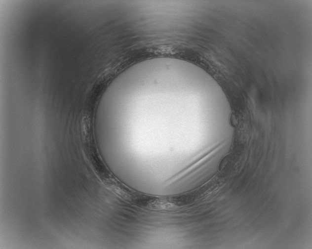 X0000074260747200609222150