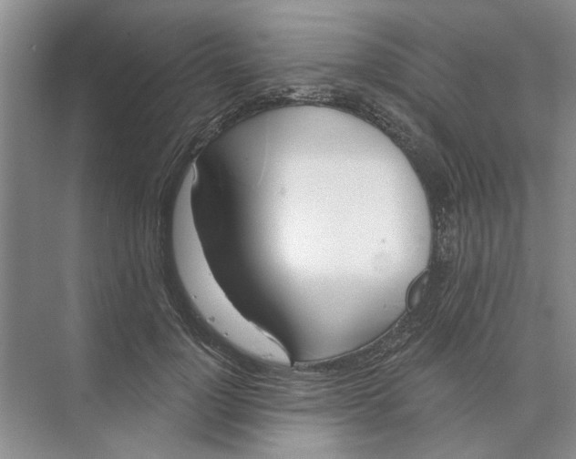 X0000074260748200609222150