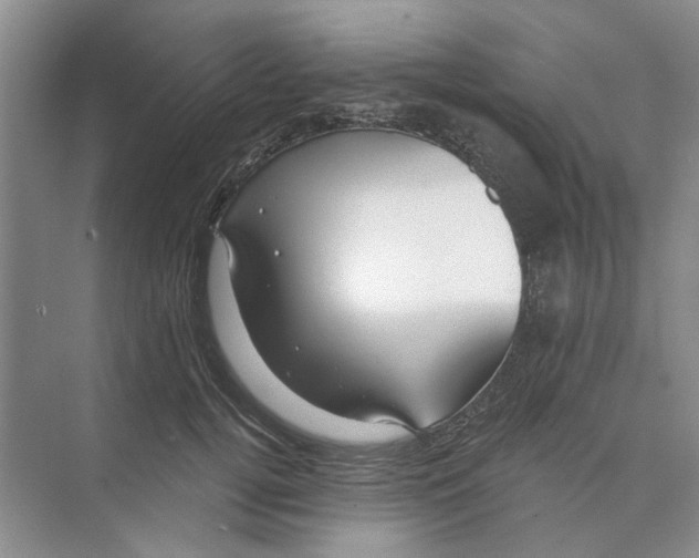 X0000074260752200609222150