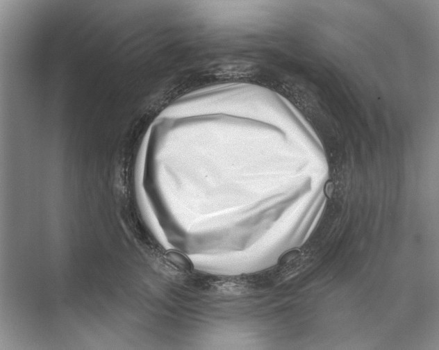 X0000074260755200609222150