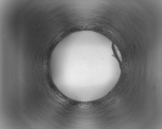 X0000074260756200609222150