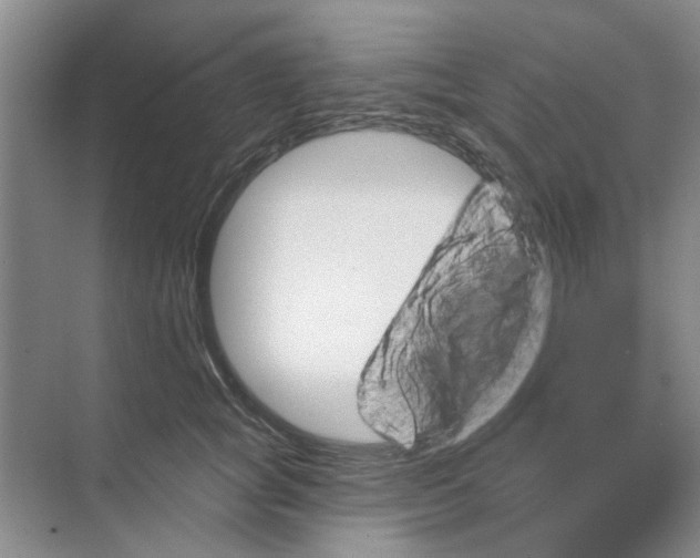 X0000074260757200609222150