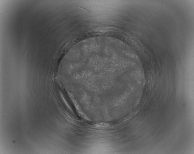 X0000074260758200609222151