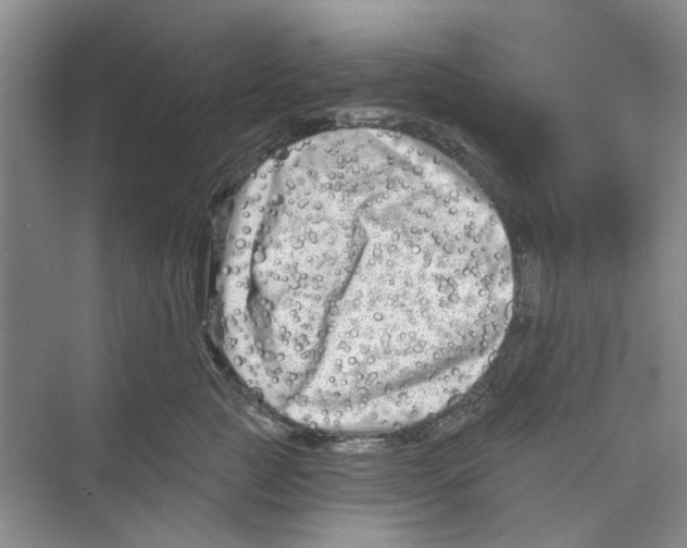 X0000074260761200609222151