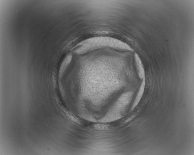 X0000074260762200609222151