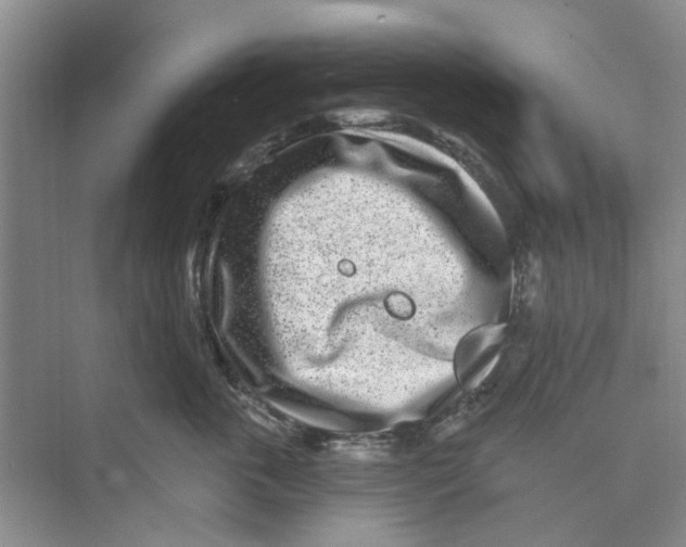 X0000074260763200609222151