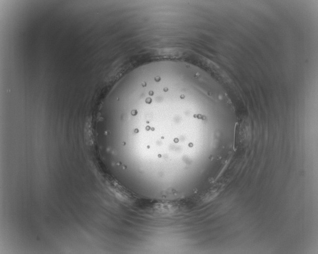 X0000074260764200609222151