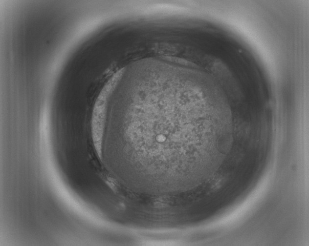 X0000074260765200609222151