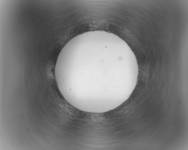 X0000074260770200609222150