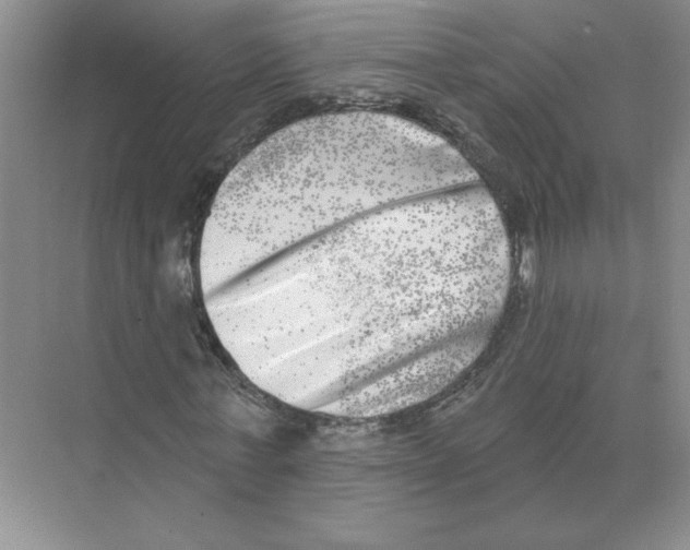 X0000074260771200609222150