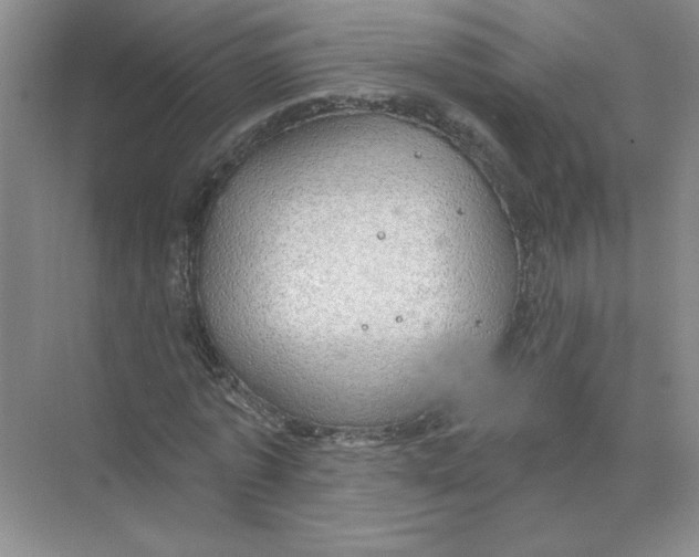 X0000074260773200609222150