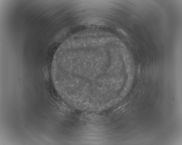 X0000074260774200609222150