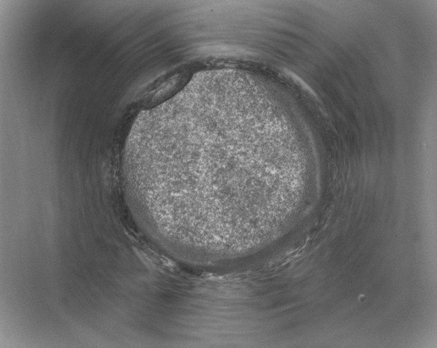 X0000074260775200609222150