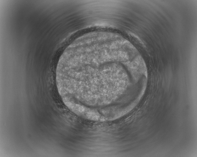 X0000074260776200609222150