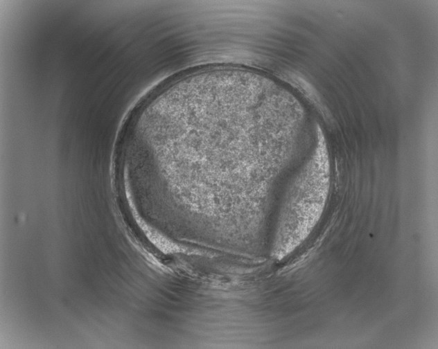 X0000074260780200609222150