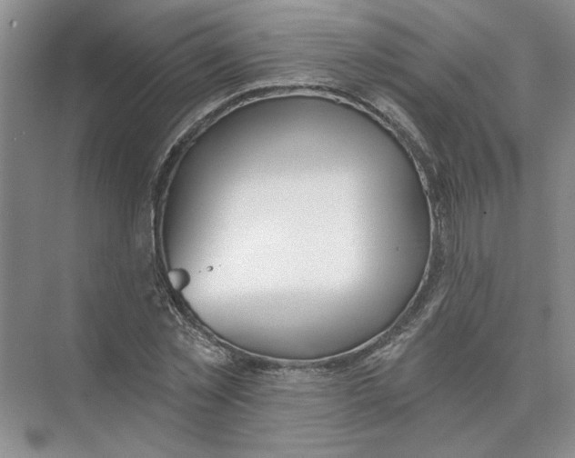 X0000074260781200609222150