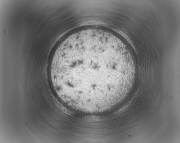 X0000074260783200609222150