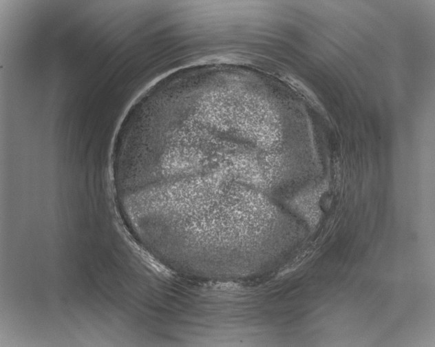 X0000074260784200609222150