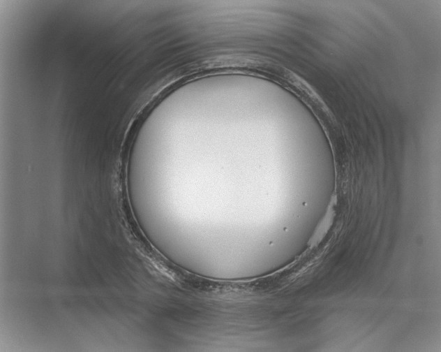 X0000074260786200609222150