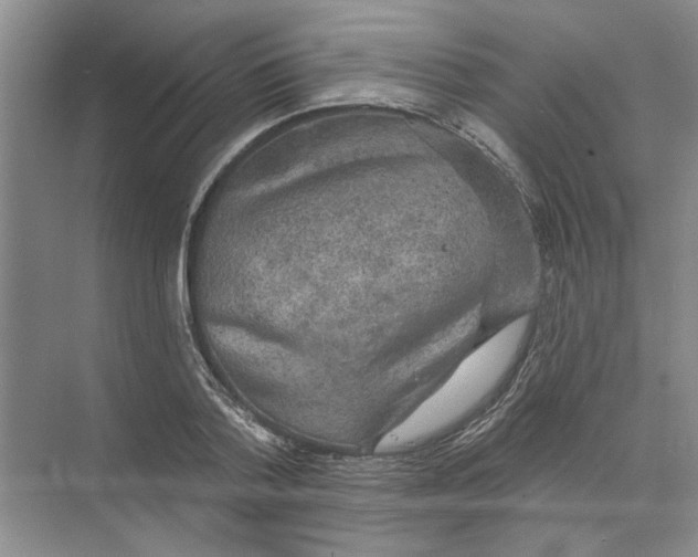 X0000074260788200609222150