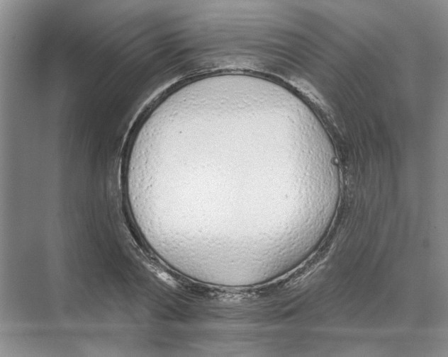 X0000074260790200609222150