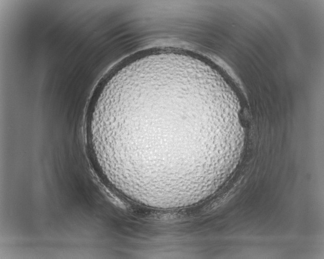 X0000074260791200609222150