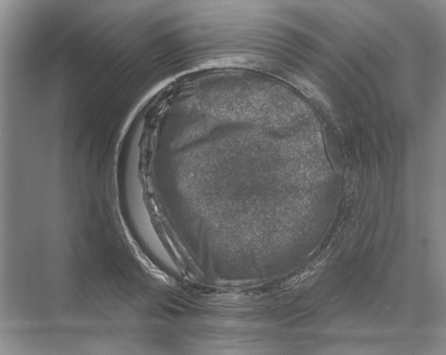 X0000074260792200609222149