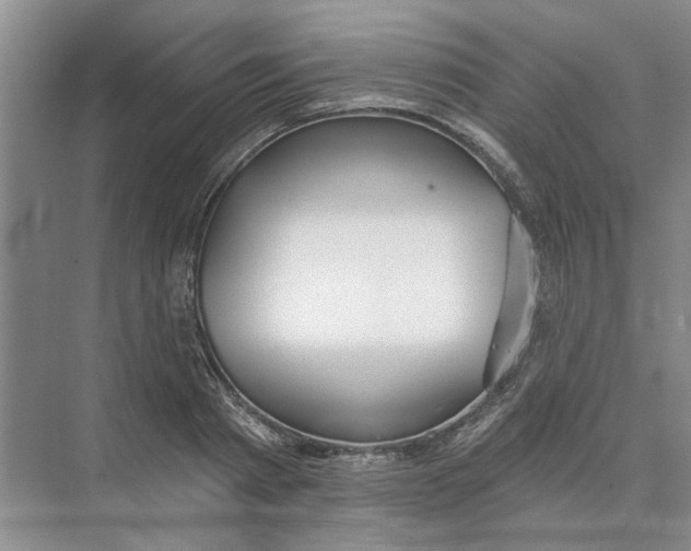 X0000074260793200609222149