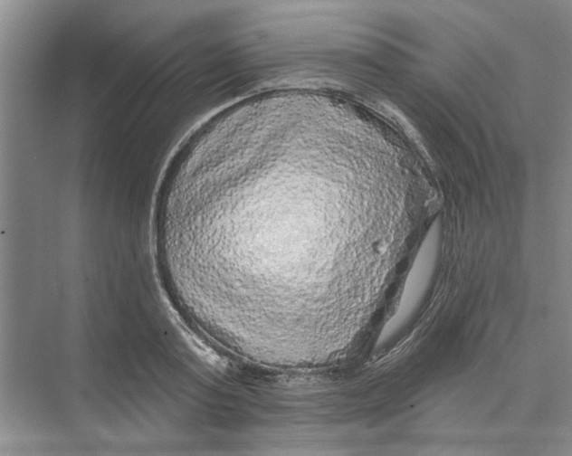 X0000074260795200609222149