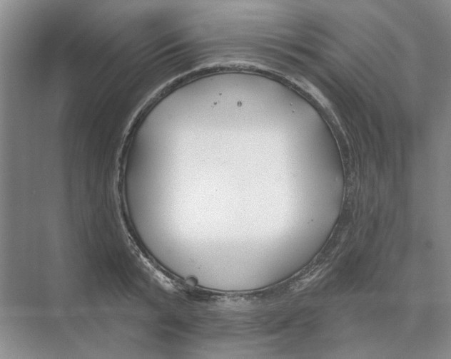 X0000074260799200609222149