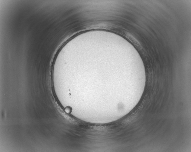 X0000074260800200609222149