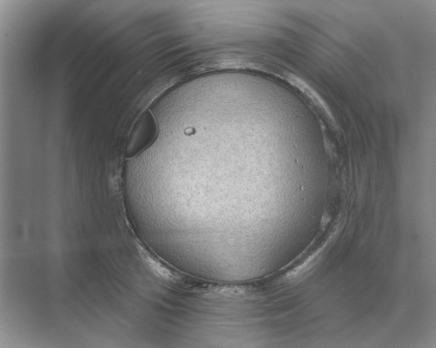 X0000074260801200609222149